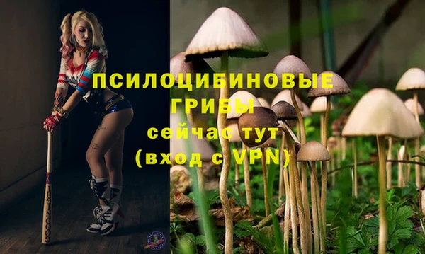 ALPHA-PVP Абинск