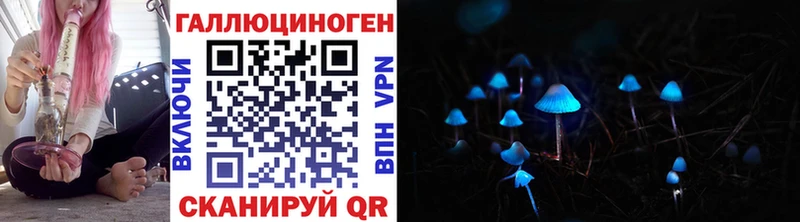 Псилоцибиновые грибы мицелий  Новосибирск 